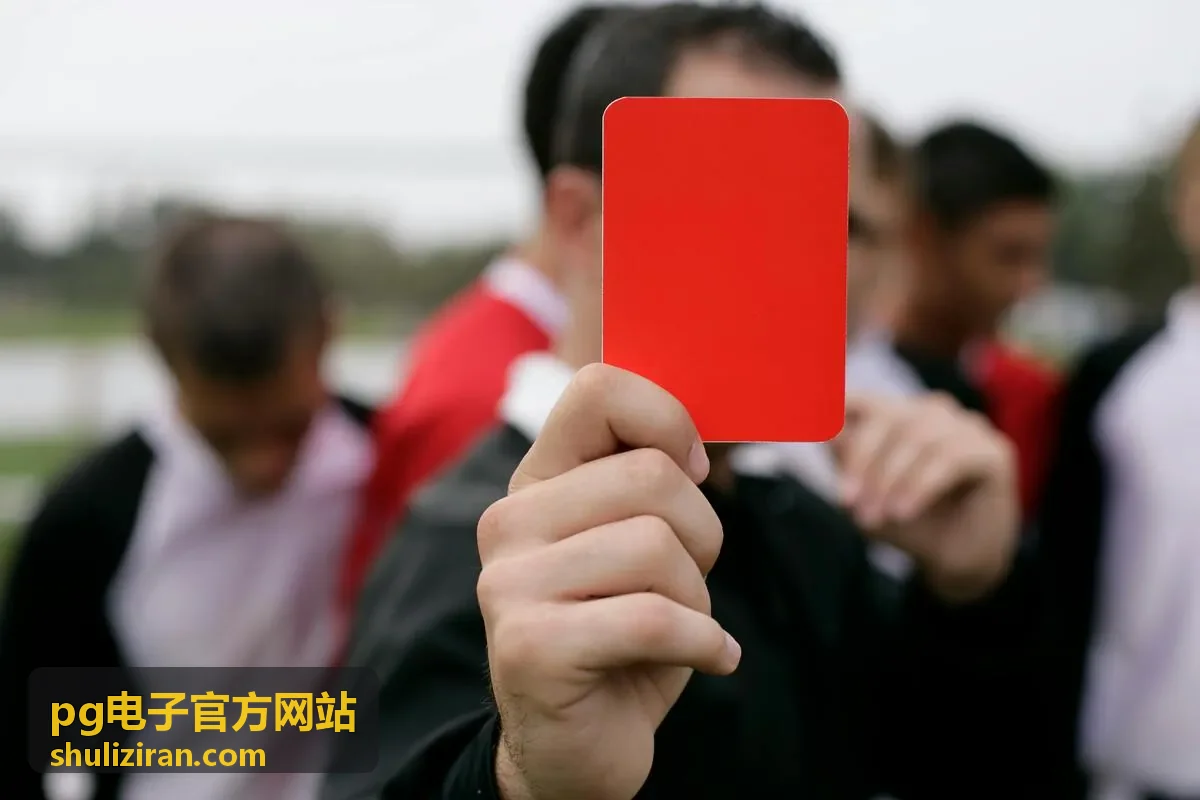 pg电子官方网站 资讯封面图片